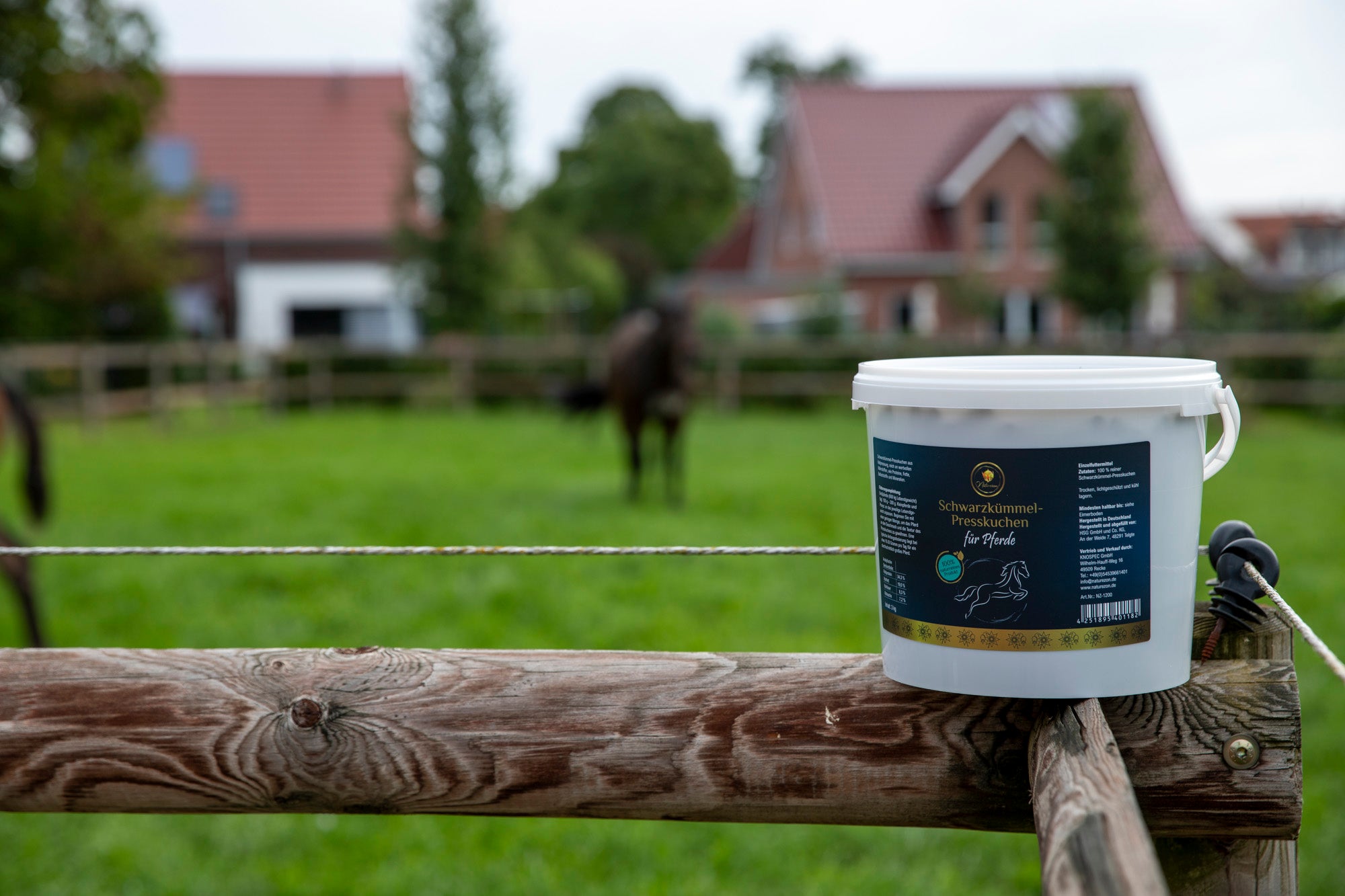 (Pressung 19.09.2025) - Bio Schwarzkümmelkuchen 3 kg - Vorbestellung - 100% Natürlich - Wöchentliche Produktion